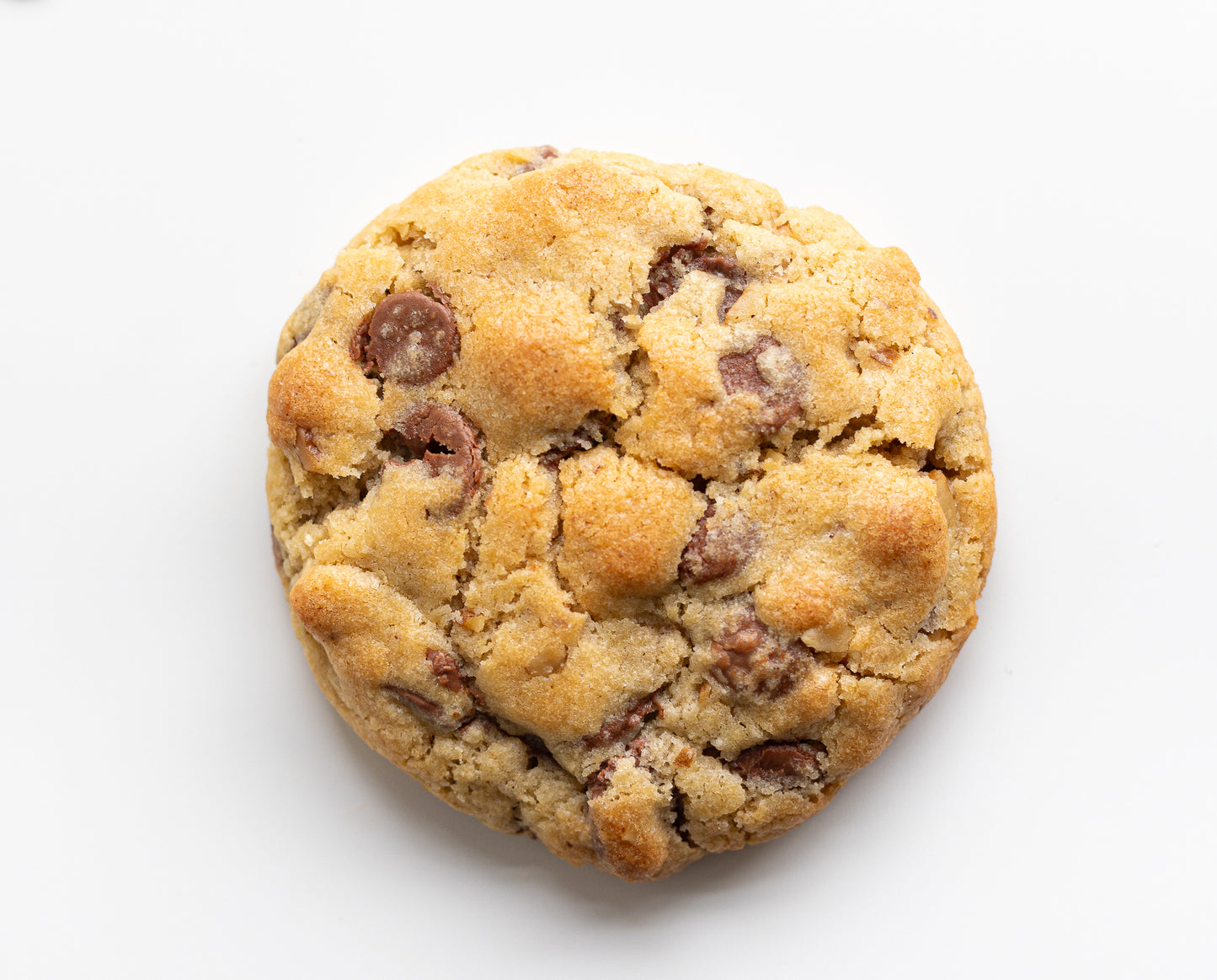 Chocolate Chips NY Cookie